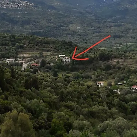 Kallimos