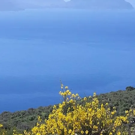 Kallimos Apartmán Vasiliki